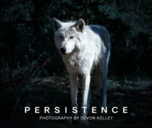 Persistence book cover