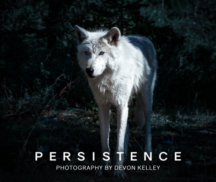View Persistence by Devon Kelley