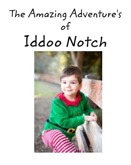 The Amazing Adventure's of Iddoo Notch. book cover
