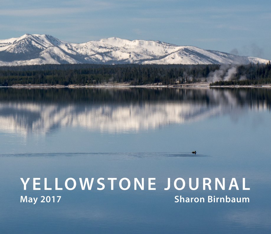 Ver 2017 Yellowstone Journal por Sharon Birnbaum