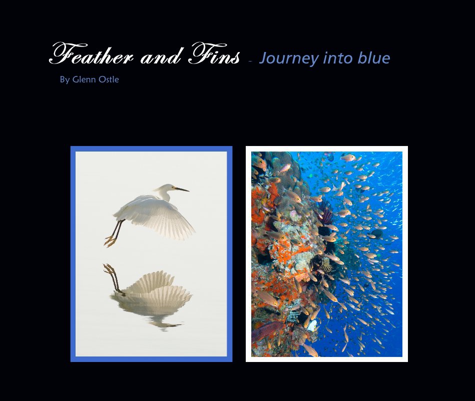 View Feather and Fins - Journey into blue By Glenn Ostle by Glenn V. Ostle