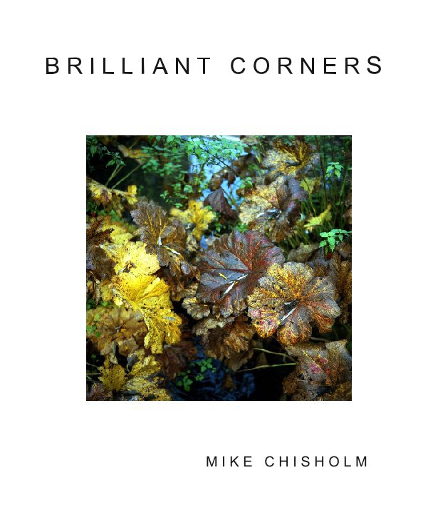 View BRILLIANT CORNERS (2007) by Mike Chisholm
