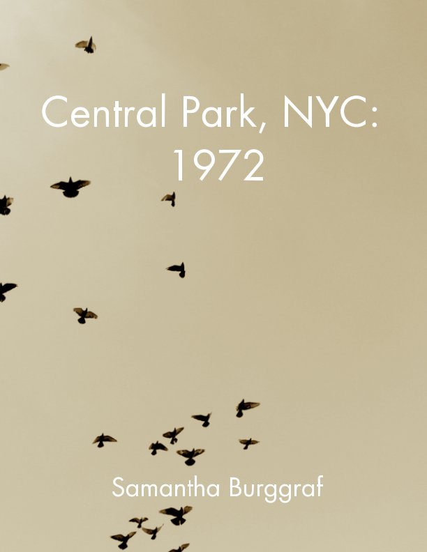 View Central Park NYC: 1972 by SB Photography