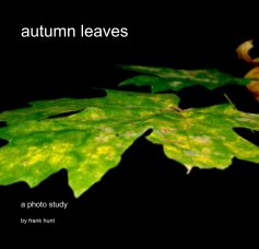 autumn leaves book cover