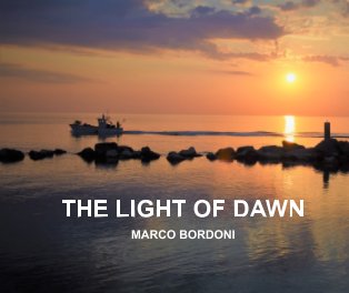 The light of dawn book cover