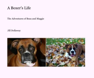 A Boxer's Life book cover