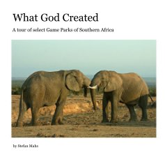 What God Created book cover