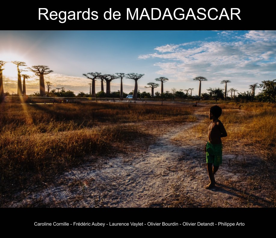 View Regards de Madagascar by Olivier Bourdin