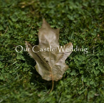 Our Castle Wedding book cover