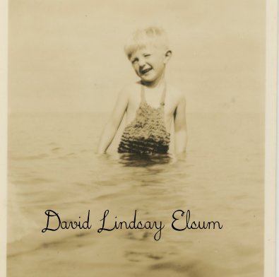 David Lindsay Elsum book cover