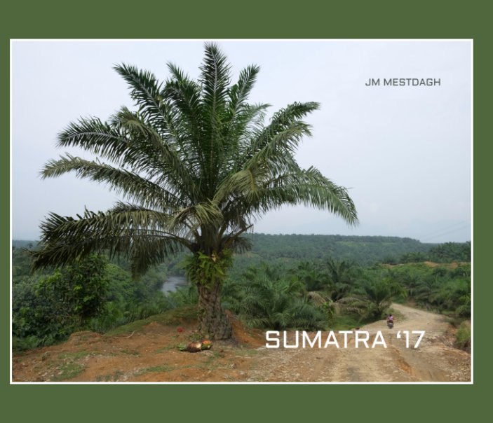 View Sumatra 2017 by MESTDAGH Jean Michel