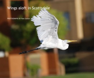 Wings aloft in Scottsdale book cover