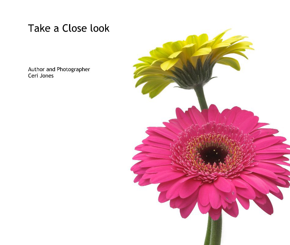 View Take a Close look by Author and Photographer Ceri Jones