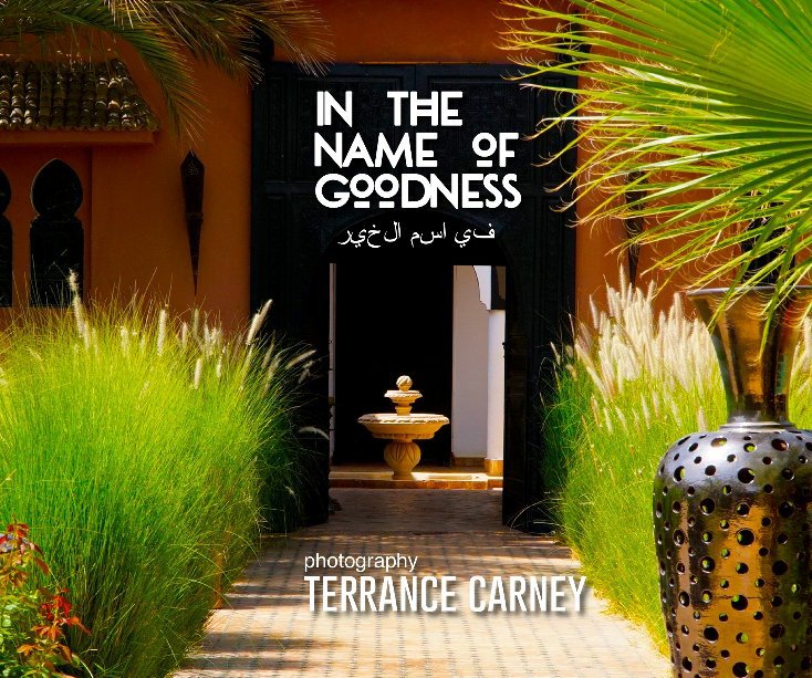 View IN THE NAME OF GOODNESS by TERRANCE CARNEY
