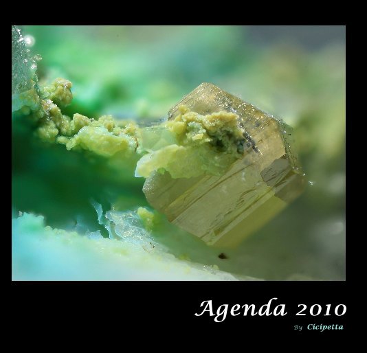 Ver Agenda 2010 por Cicipetta