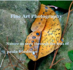 Fine Art Photography book cover
