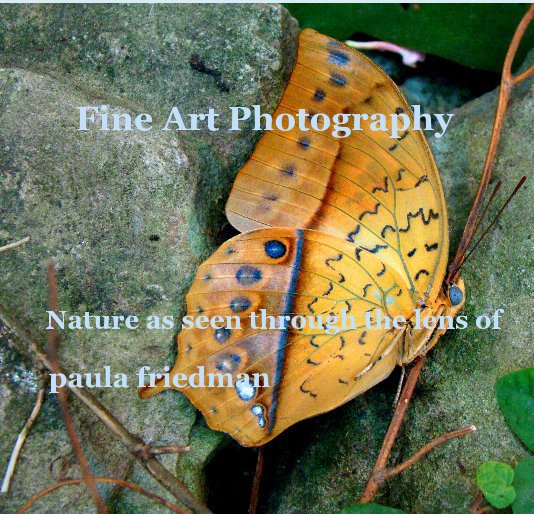 Ver Fine Art Photography por Paula Friedman