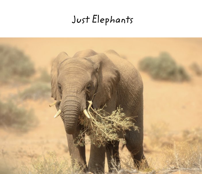 Ver Just Elephants por Leigh Lofgren