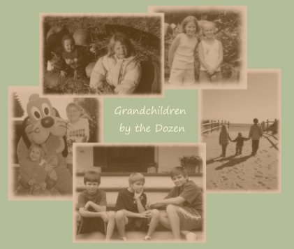 Grandchildren by the Dozen book cover