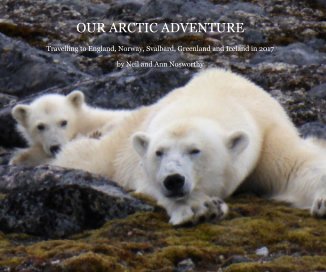 OUR ARCTIC ADVENTURE book cover