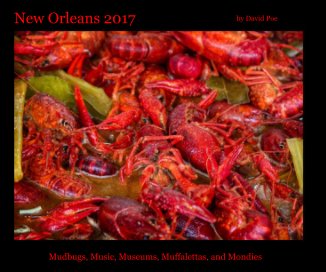 New Orleans 2017 book cover