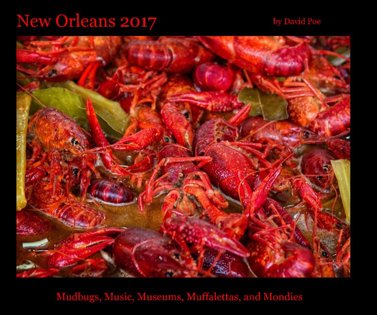 View New Orleans 2017 by David Poe