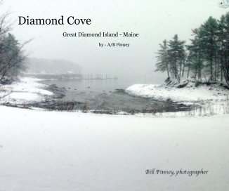 Diamond Cove book cover