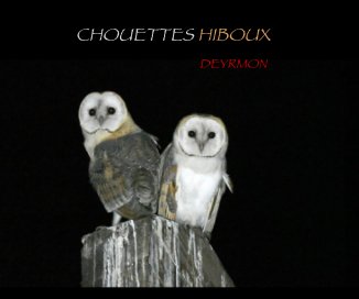 CHOUETTES HIBOUX book cover