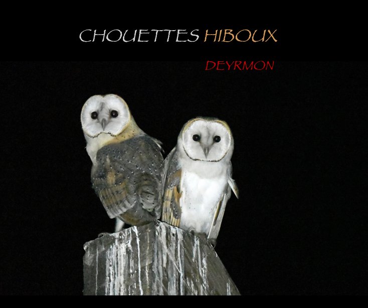 View CHOUETTES HIBOUX by DEYRMON