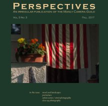 Perspectives, Vol. 5 no. 3 book cover