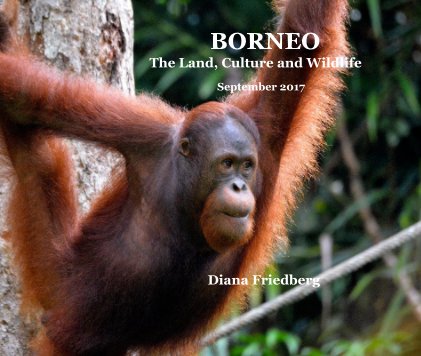 BORNEO book cover