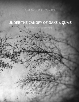 Under The Canopy of Oaks and Gums book cover