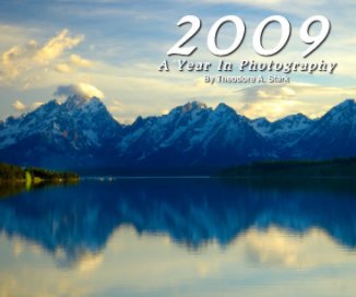 2009 : A Year In Photography book cover