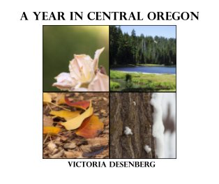 A Year In Central Oregon book cover