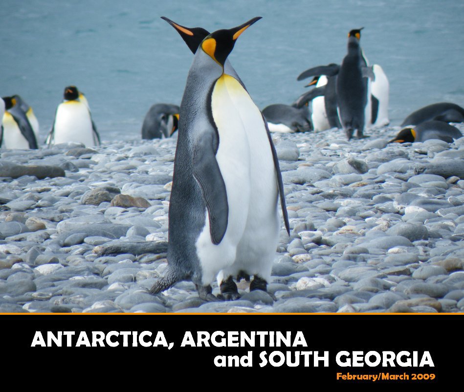 View Antarctica, Argentina and South Georgia by Kirstin1970