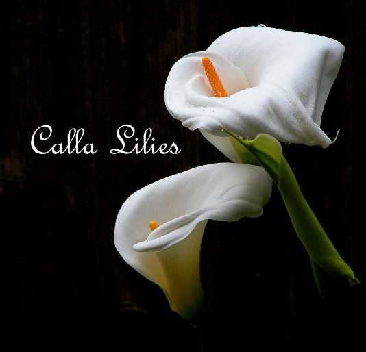 View Calla Lilies by Sharon Sprenger