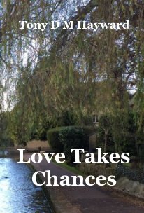 Love Takes Chances book cover