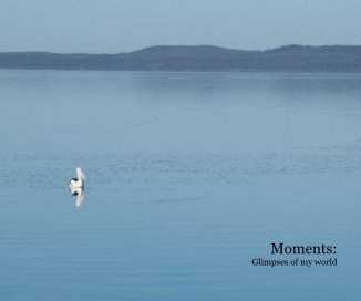 Moments: Glimpses of my world book cover