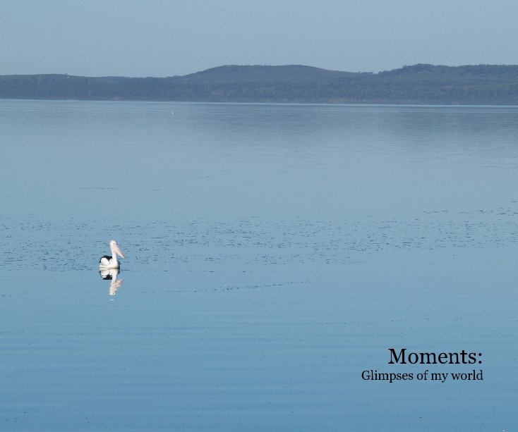 View Moments: Glimpses of my world by Annemarie Irwin