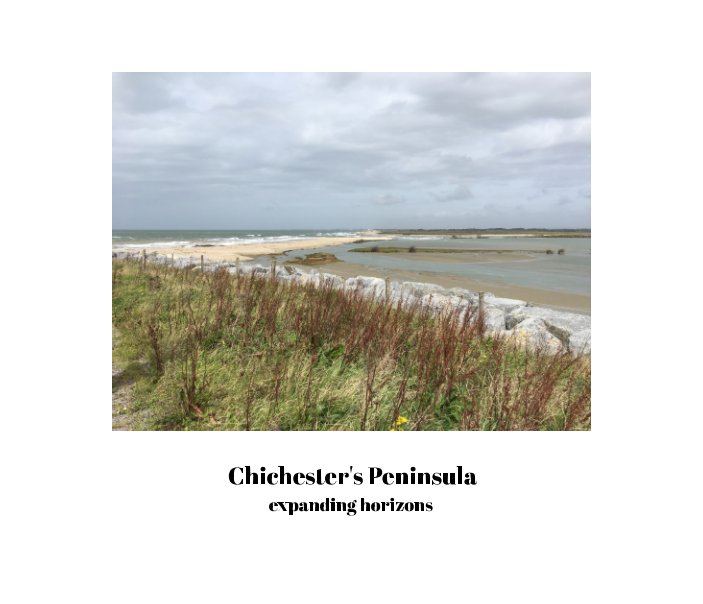 View Chichester's Peninsula by Carolyn Cobbold