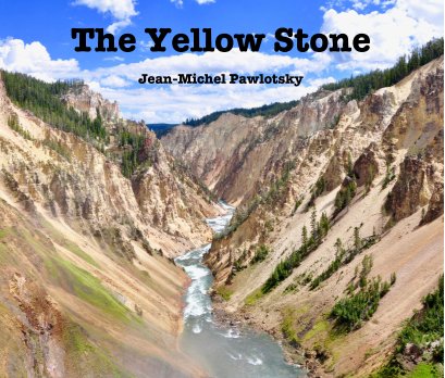 The Yellow Stone book cover