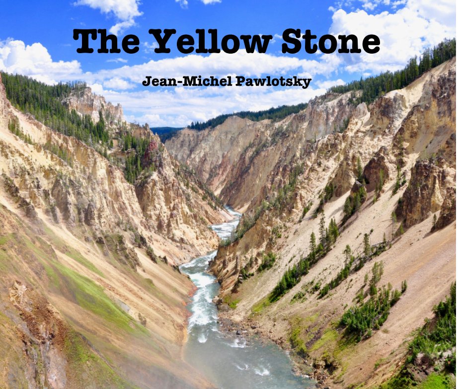 View The Yellow Stone by Jean-Michel Pawlotsky