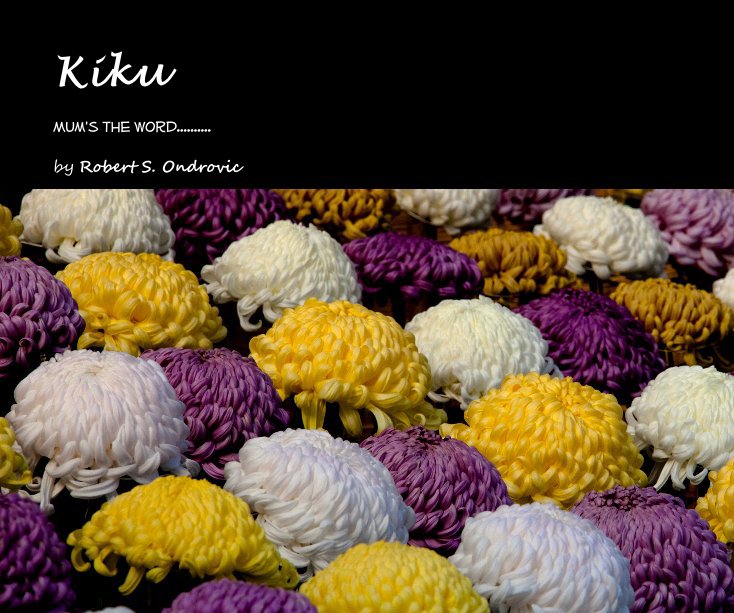 View Kiku by Robert S. Ondrovic