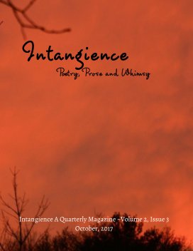 Intangience: A Quarterly Magazine Volume 2, Issue 3 book cover