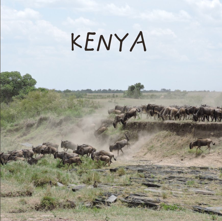 View KENYA by Fanny Alioli