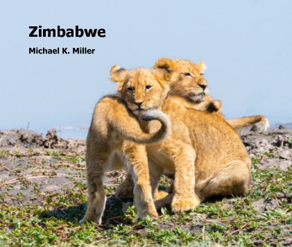 Zimbabwe book cover