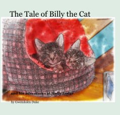 The Tale of Billy the Cat book cover