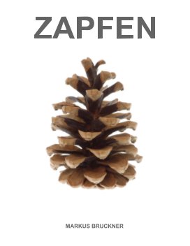 ZAPFENSTREICH book cover