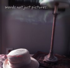 words not just pictures. book cover