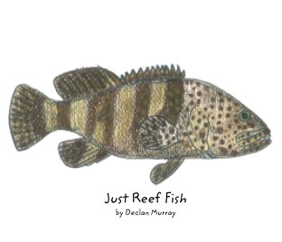 Just Reef Fish book cover